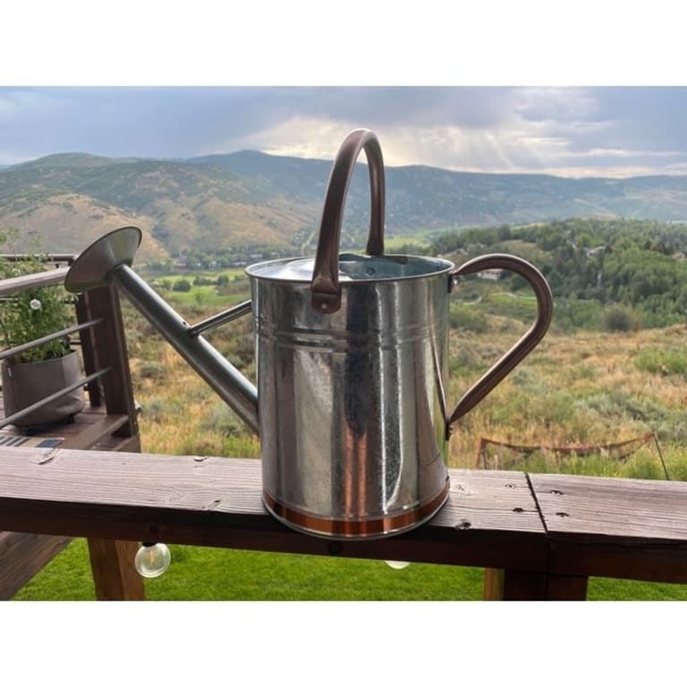 Panacea Copper/Silver 2 gal. Galvanized Steel Watering Can 9 x 19.6 x 11 On Sale Bed Bath
