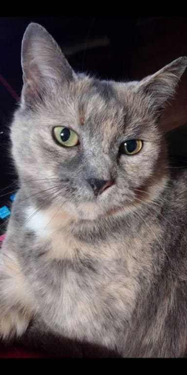 user uploaded review image3 , graphic