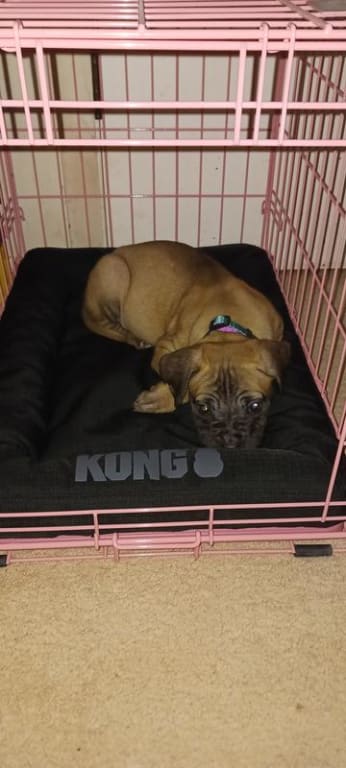 user uploaded review image1 , graphic