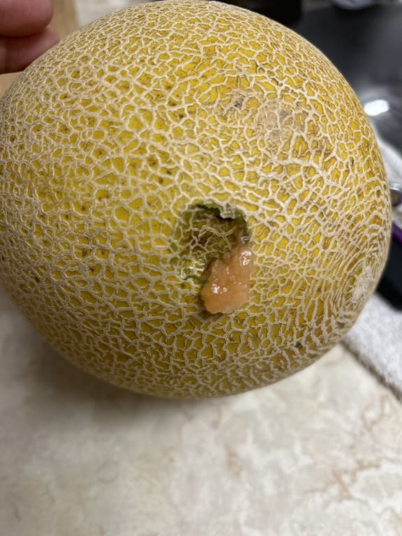 user uploaded review image4 , graphic