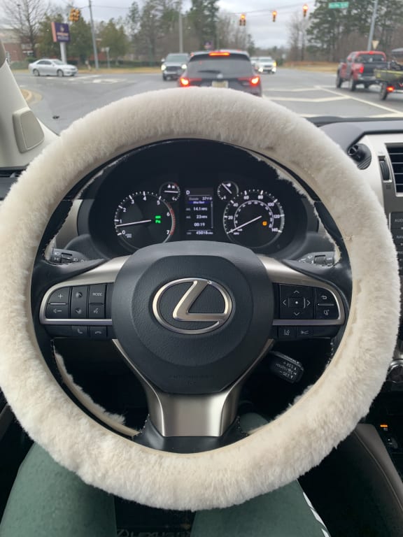Customer Image Captioned: 