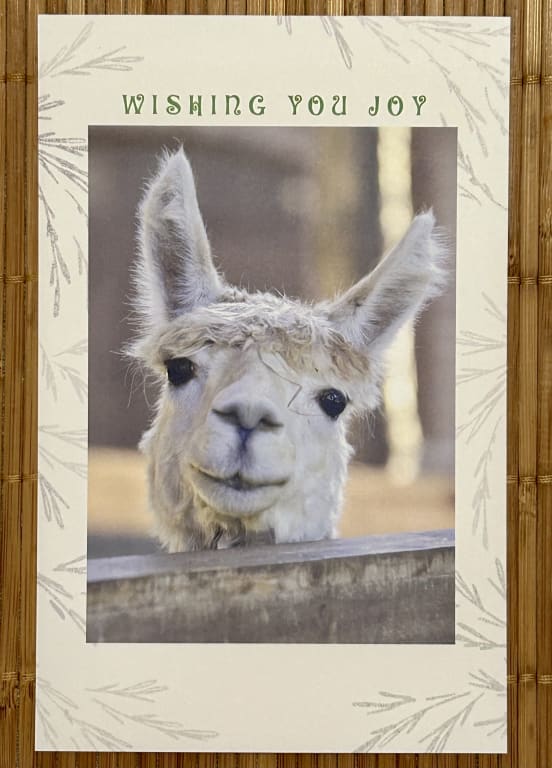 All in all- nicely done