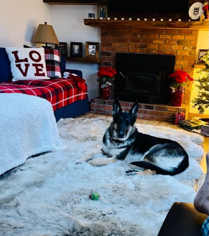 Customer Image Captioned: Cozy