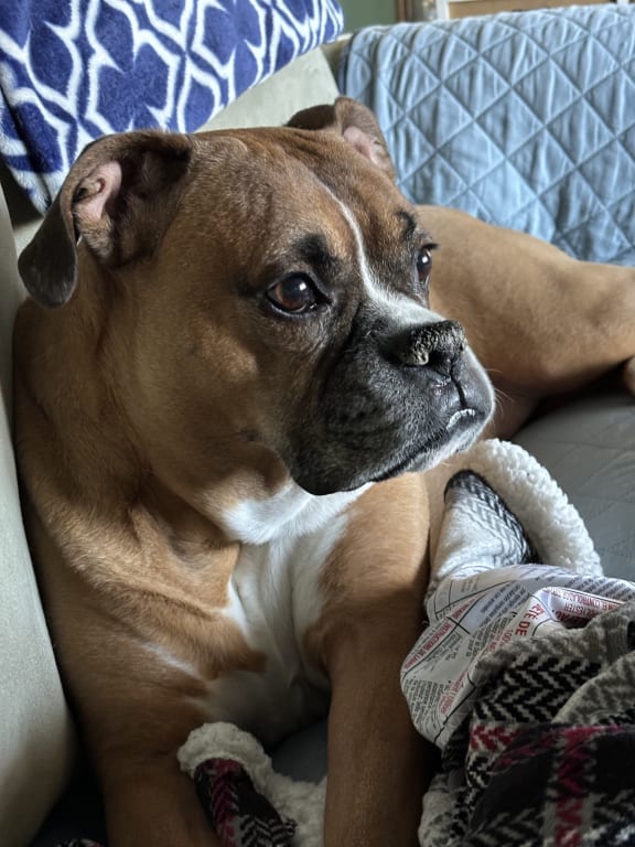 user uploaded review image2 , graphic