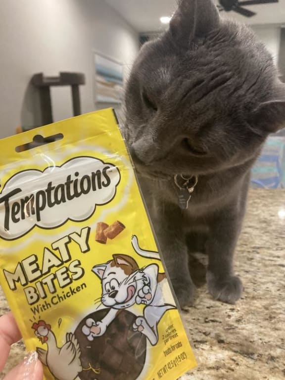 user uploaded review image2 , graphic