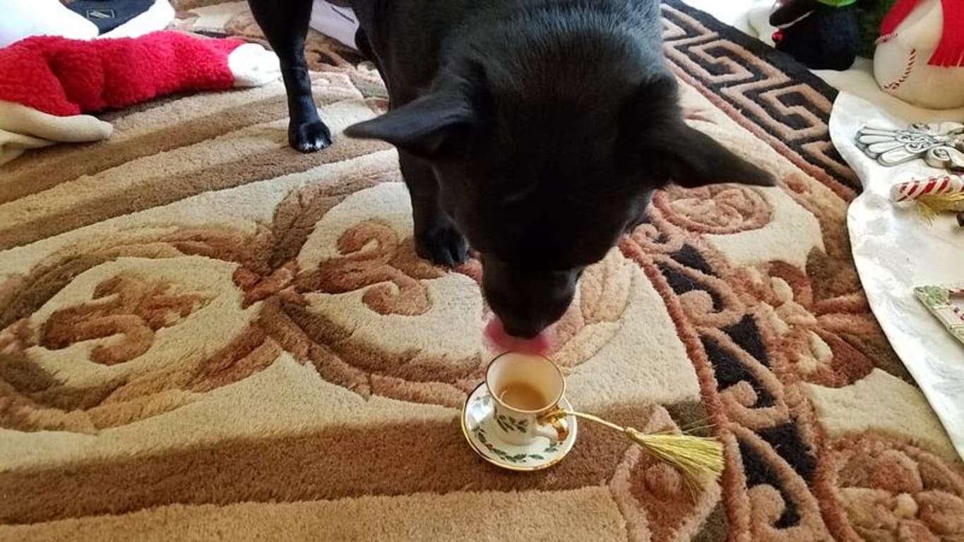 user uploaded review image3 , graphic