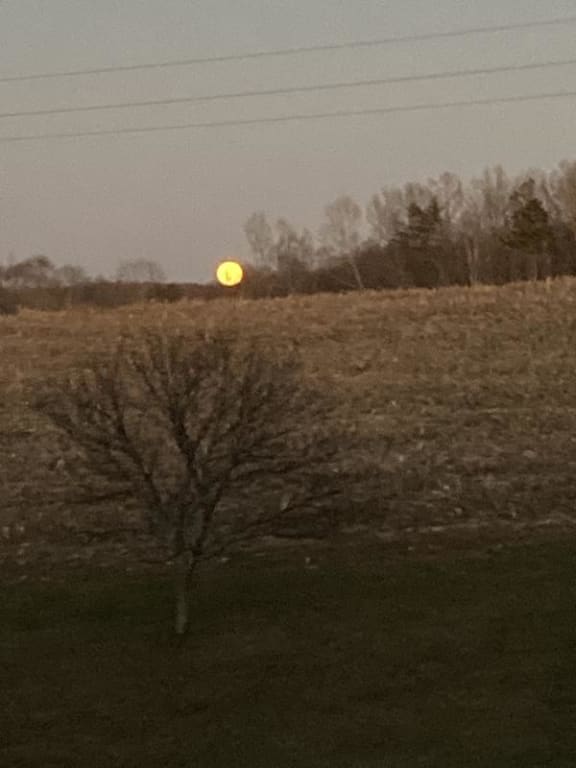 user uploaded review image2 , graphic