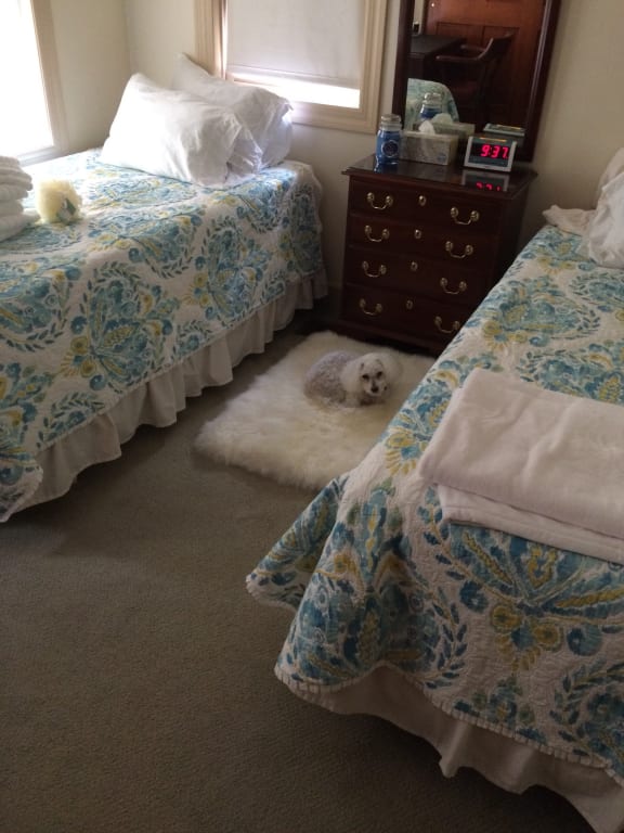 Customer Image Captioned: I think we need one for the dog too!