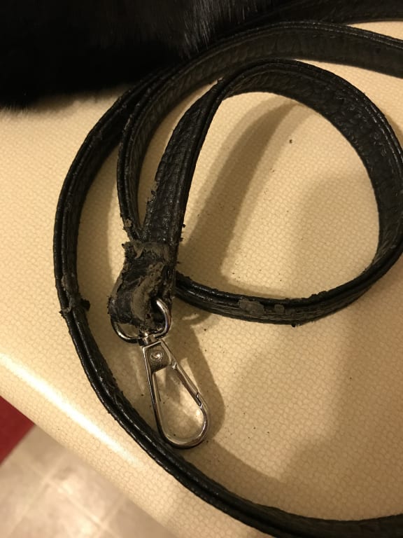 Customer Image Captioned: Disintegrating handle strap