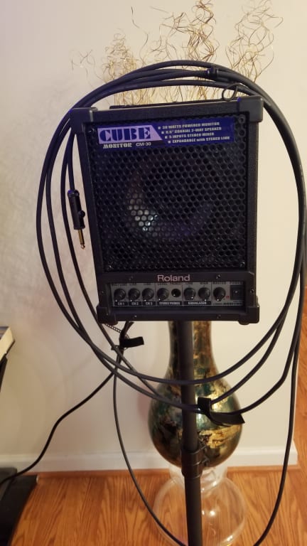 早得！！Roland CM-30 Roland CM-30 CUBE 30W Powered PA Speaker - Gearank - Music