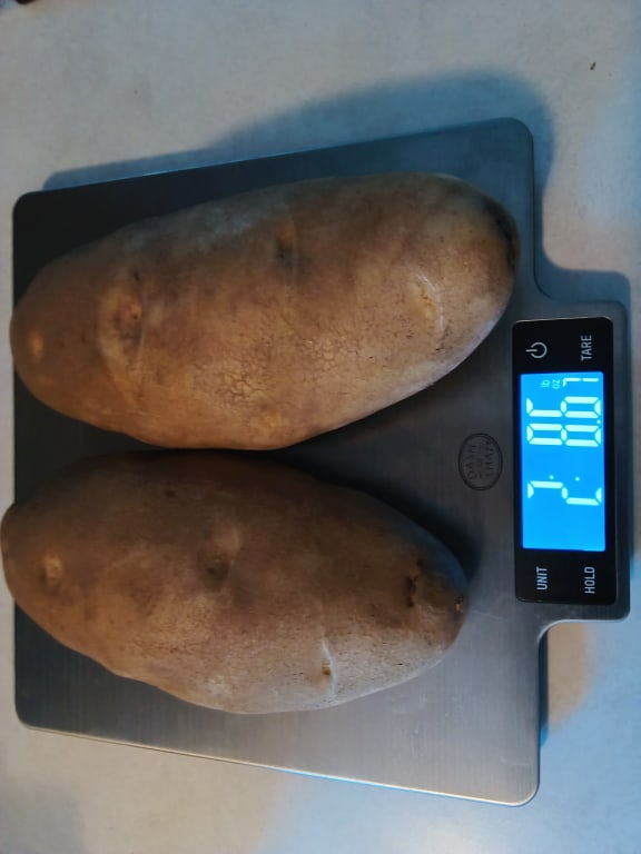 user uploaded review image2 , graphic