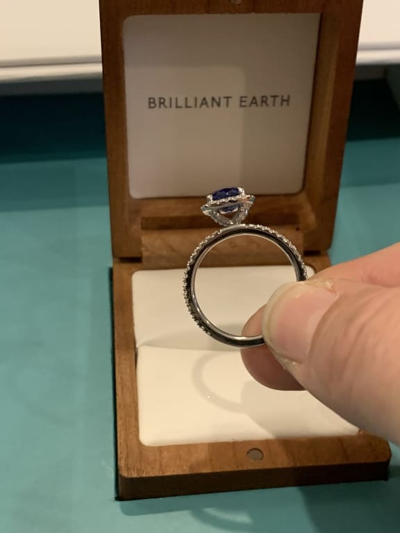 Waverly Halo Diamond Ring - Brilliant Earth