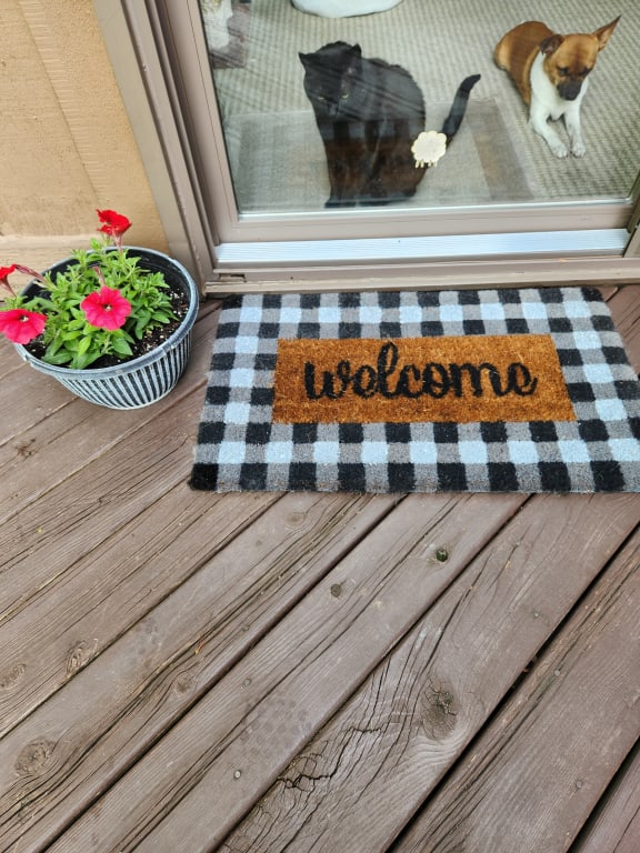 Buffalo Check Welcome Coco Coir Doormat - 16 x 27