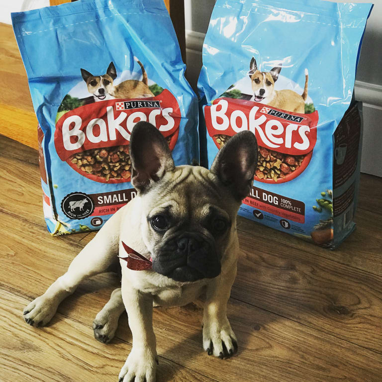 Bakers Small Dog Biscuits Bakers Puppy Food Dry Food Bakers Puppy
