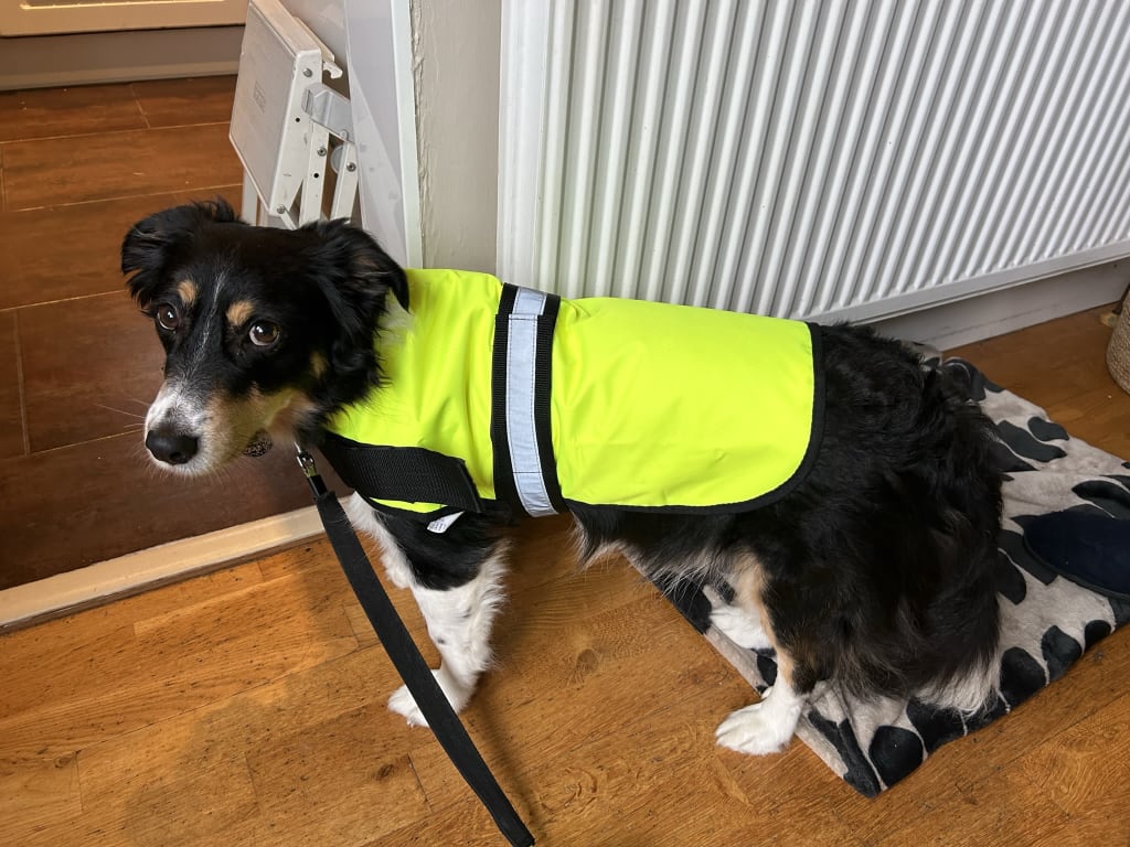 nylon-dog-safety-reflective-safety-vests-preservers-sksafety