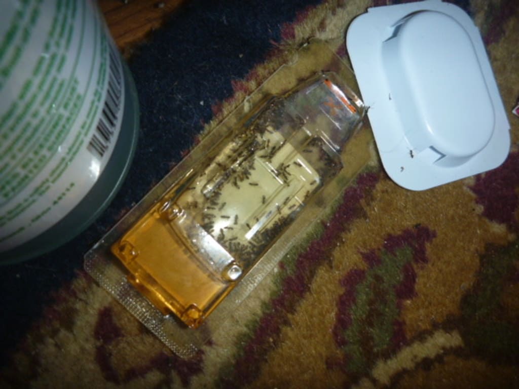 user uploaded review image2 , graphic