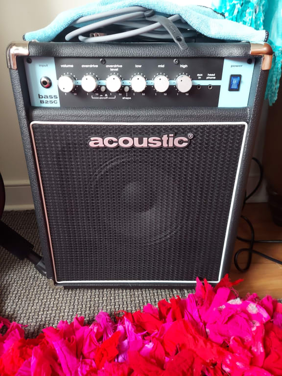 Acoustic B25C 25W 1x8