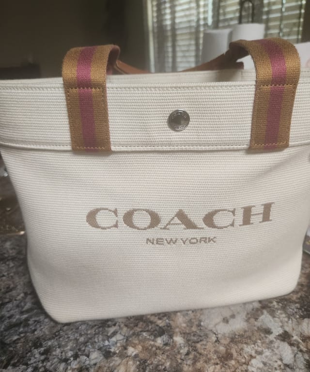 Coach Small Ferry Tote in Signature Clear Canvas