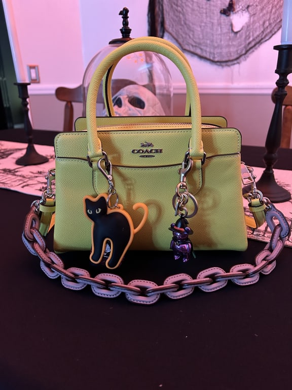 I'm a @coach girl for life 🥰 #coach #coachbag #coachtabby, Coach Bag