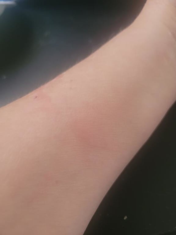 user uploaded review image2 , graphic