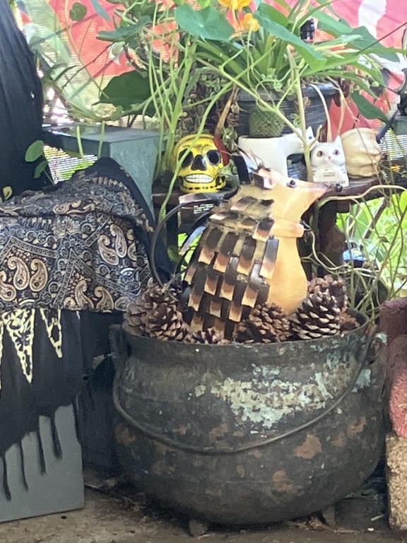 Harold The Hedgehog Watering Can from Uncommon Goods. Customer submitted image.