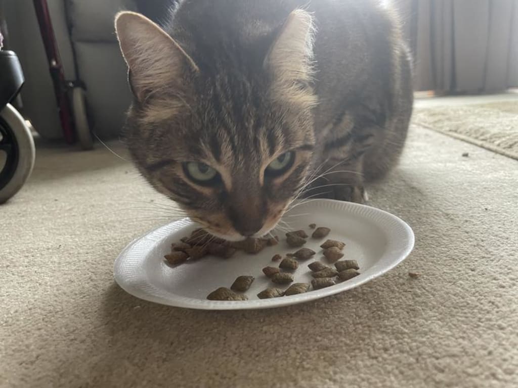 user uploaded review image3 , graphic