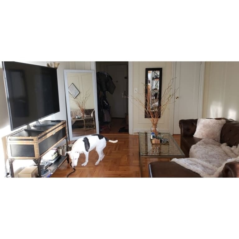 BrandtWorks Gold Trimmed Legacy Floor Mirror Bed Bath & Beyond 15999471