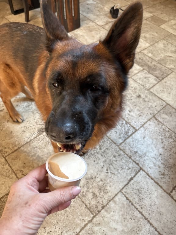 user uploaded review image3 , graphic