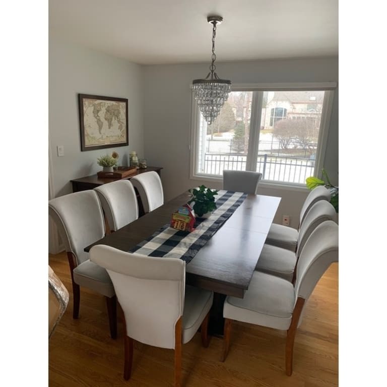 Andorra Grey Velvet Upholstered Dining Chair (Set of 2) by iNSPIRE Q