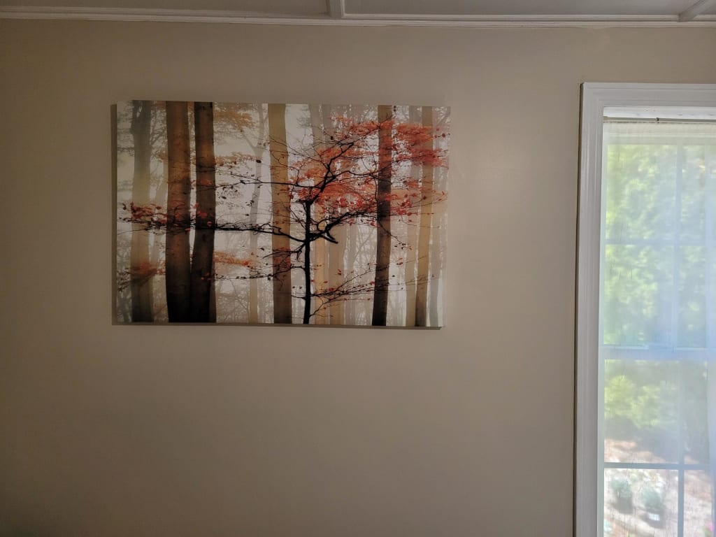 Orange Awakening Canvas Wall Art, 36x24