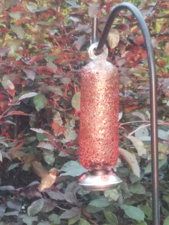 Glass Confetti Hummingbird Feeder from Uncommon Goods. Customer submitted image.
