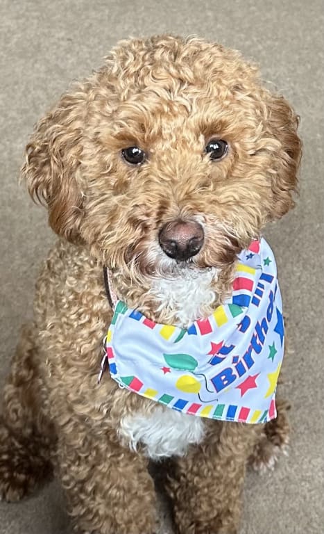 I know I'm rocking this bandana!!
