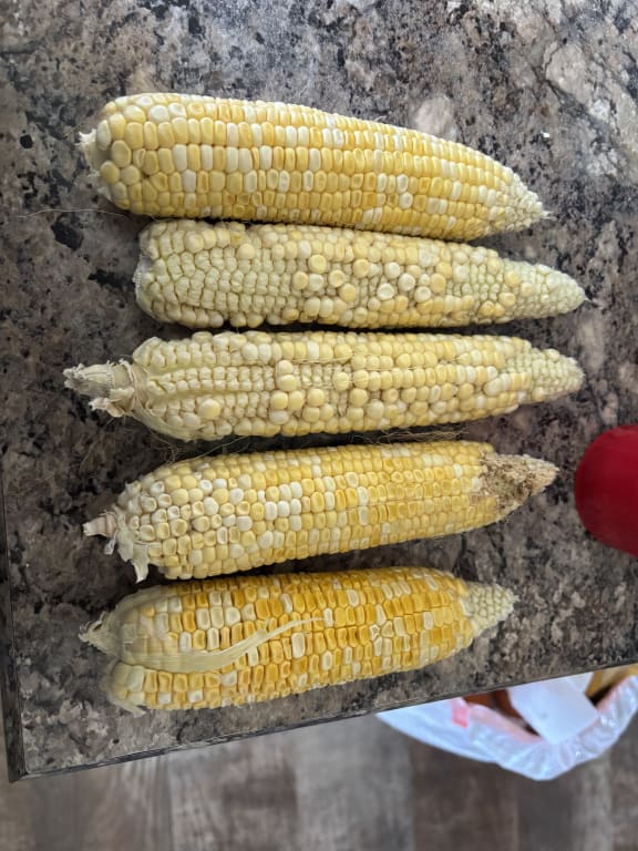 user uploaded review image3 , graphic