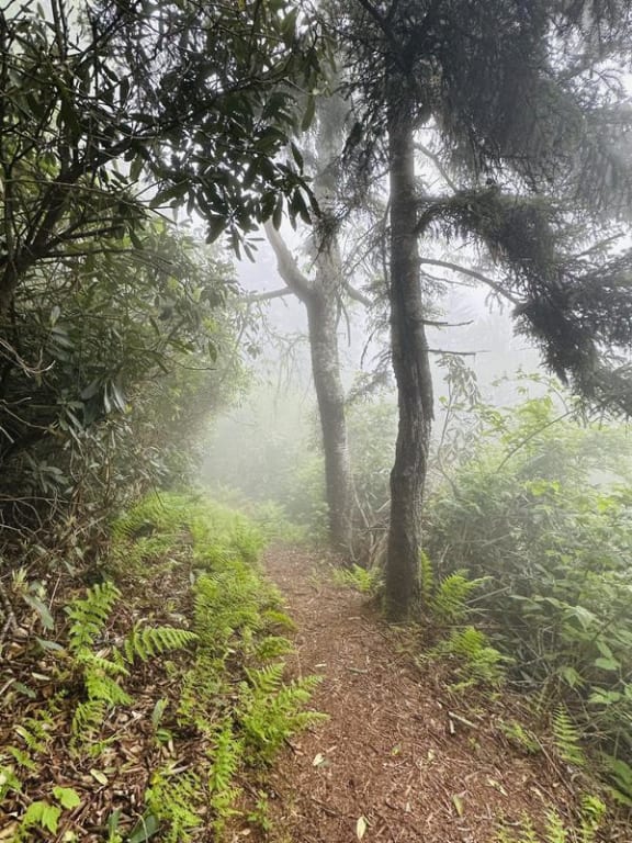 user uploaded review image3 , graphic