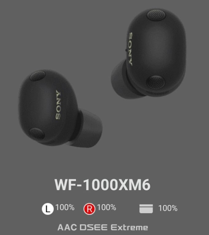 Sony WF-1000XM6 Noise Cancelling True Wireless Bluetooth Sweat