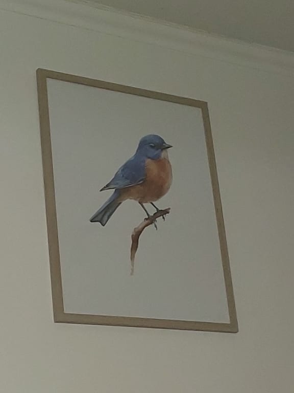 El pájaro loco