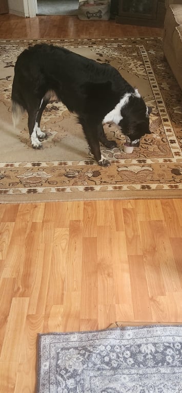 user uploaded review image3 , graphic