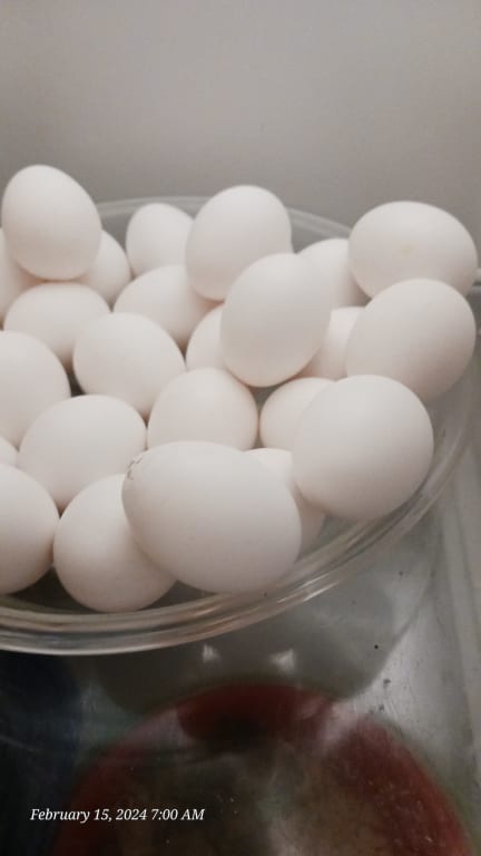 user uploaded review image2 , graphic