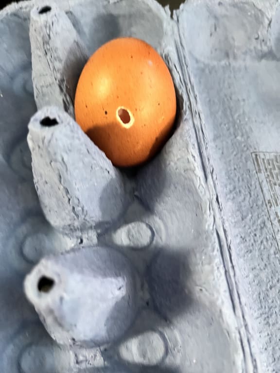 user uploaded review image3 , graphic