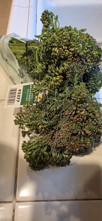 user uploaded review image1 , graphic