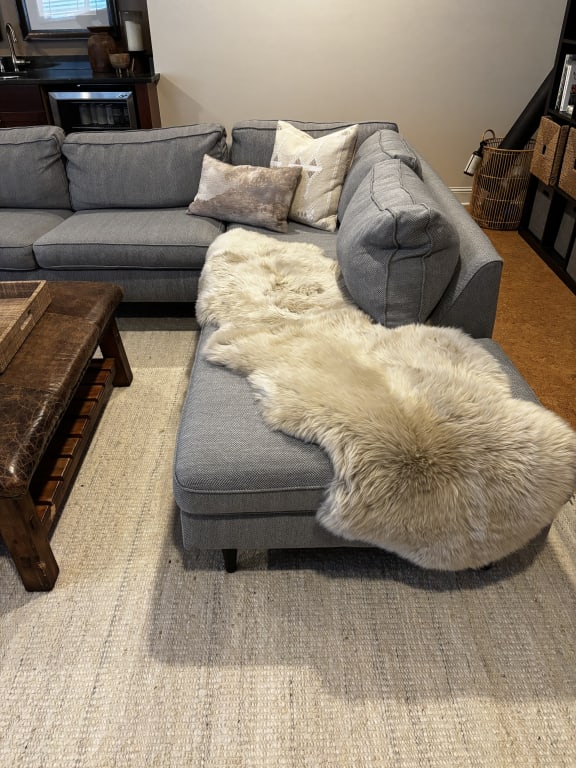 Customer Image Captioned: Taupe sheep