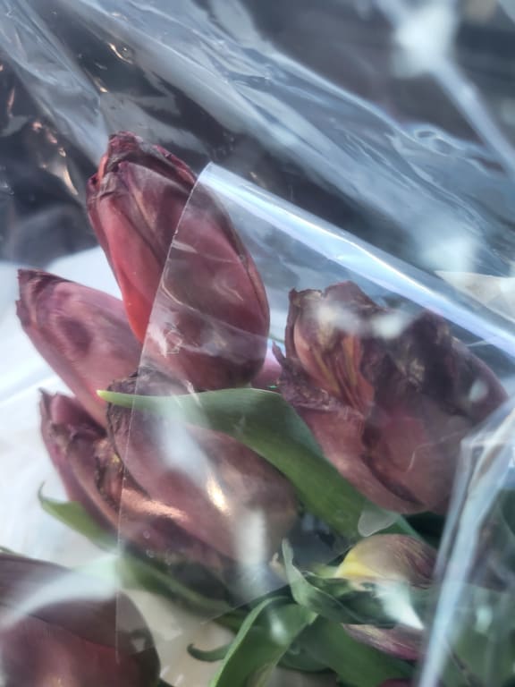 user uploaded review image3 , graphic