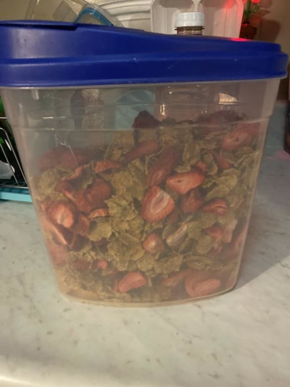 user uploaded review image2 , graphic