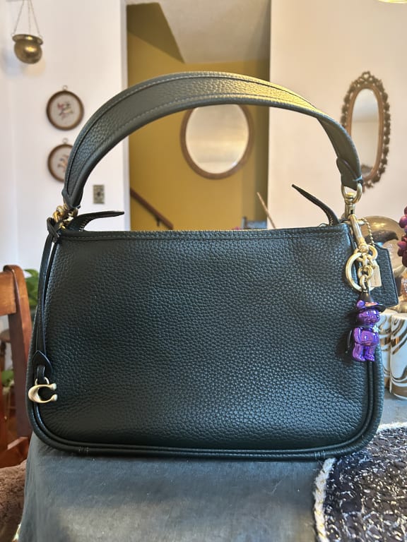 Shop COACH Cary Leather Crossbody Bag