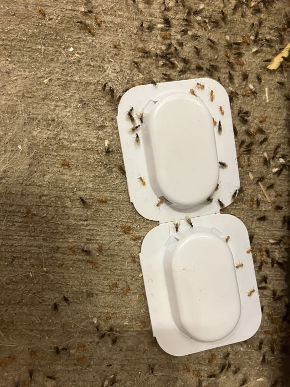 user uploaded review image3 , graphic