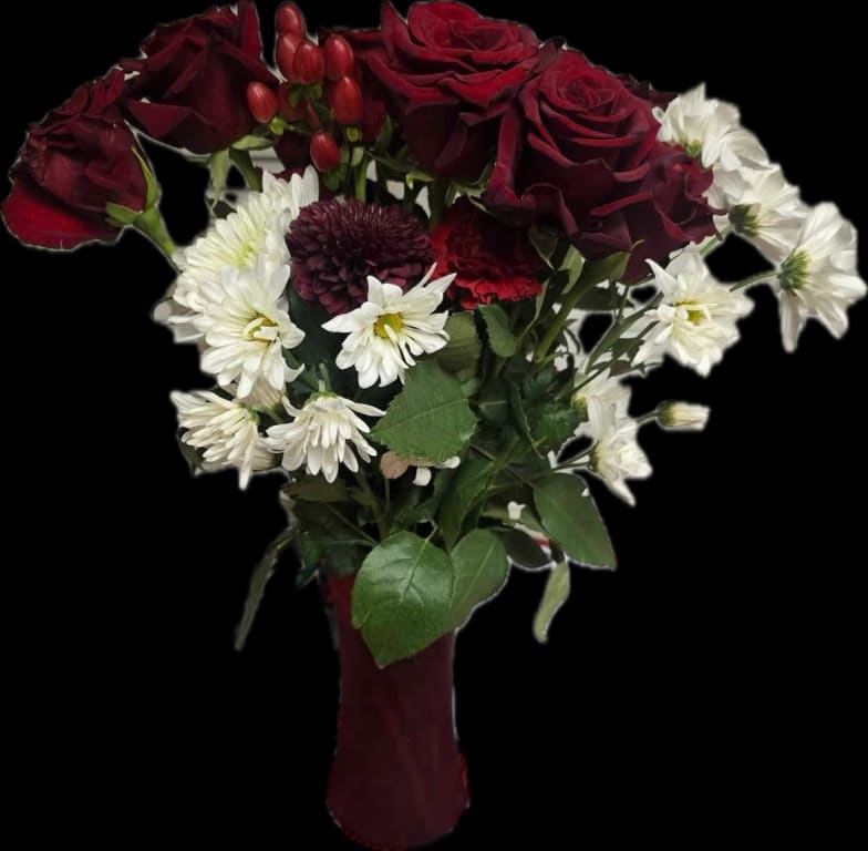 user uploaded review image4 , graphic