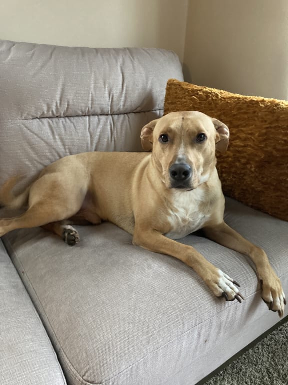 user uploaded review image4 , graphic