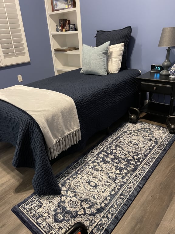 (B542) Caprice Vintage Navy Blue Area Rug, 5x7