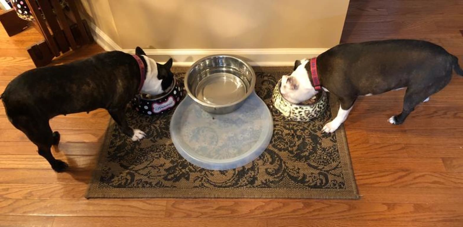 user uploaded review image4 , graphic