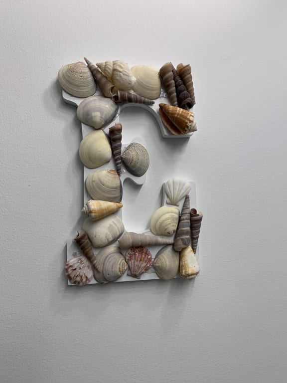 Value Pack Shell Filler, 48oz